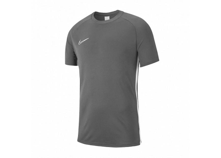 Мужская футболка Nike Dri Fit Academy 19 M AJ9088 060 увеличить