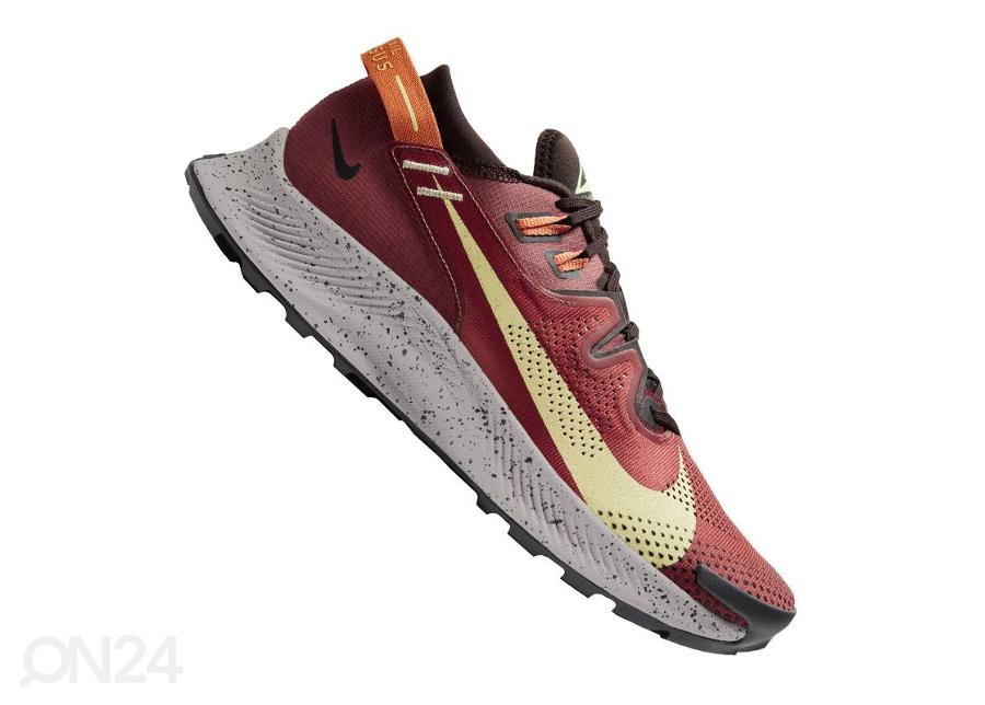 Мужские кроссовки для бега Nike Pegasus Trail 2M CK4305-600 увеличить