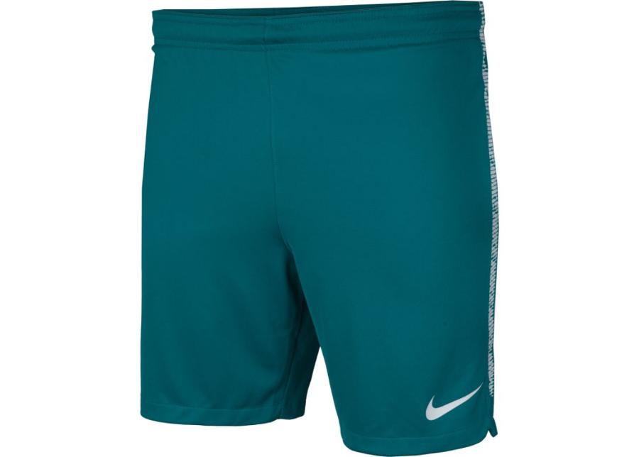 Мужские футбольные штаны Nike Dry Squad M 859908-467 увеличить