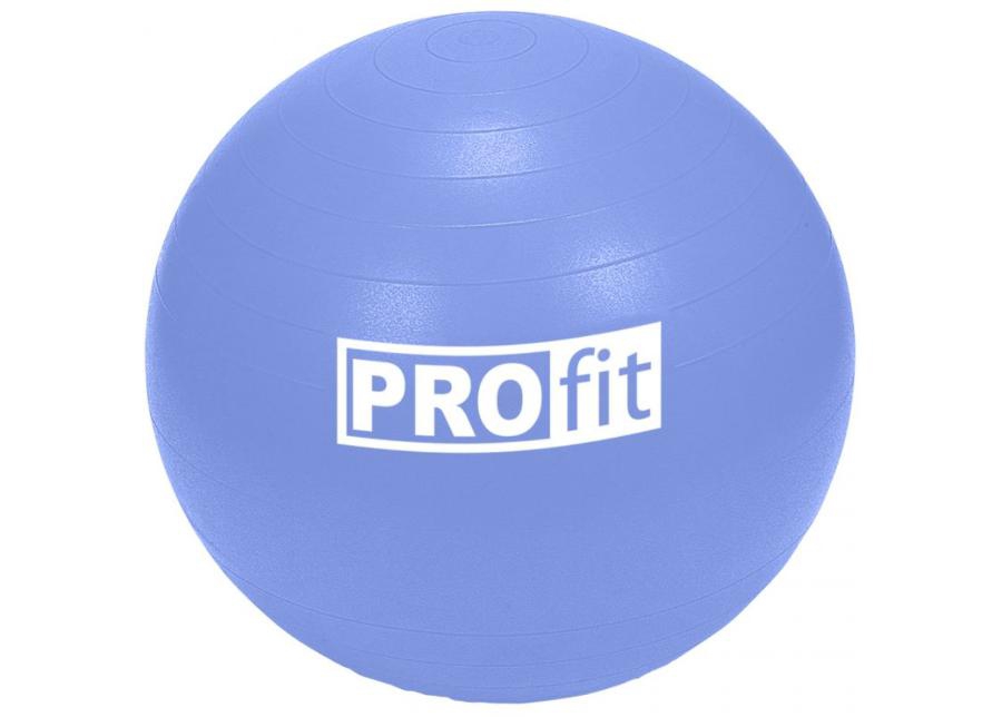 Мяч для фитнеса Profit 65 см увеличить