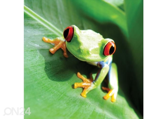 Напольная наклейка Frog 170x170 см увеличить