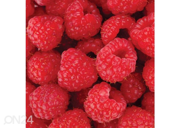 Напольная наклейка Raspberries 170x170 см увеличить