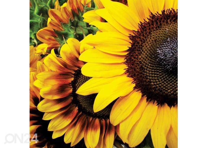 Напольная наклейка Sunflowers 170x170 см увеличить