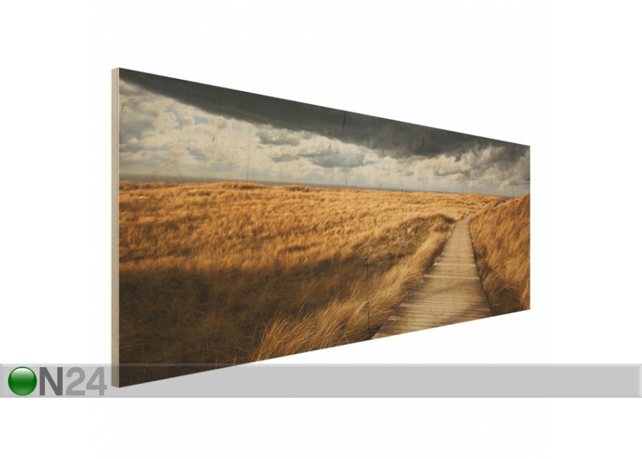 Настенная картина на древесине Pathway Through The Dunes 40x100 см увеличить