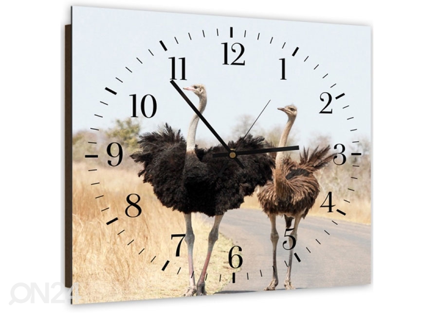 Настенные часы с картиной Two ostriches увеличить