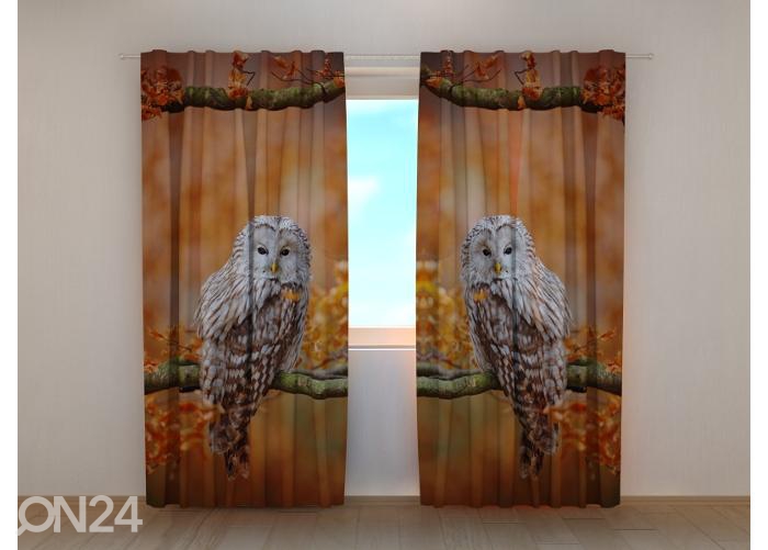 Полузатемняющая фотоштора Ural Owl at Autumn Oak Forest 240x220 см увеличить
