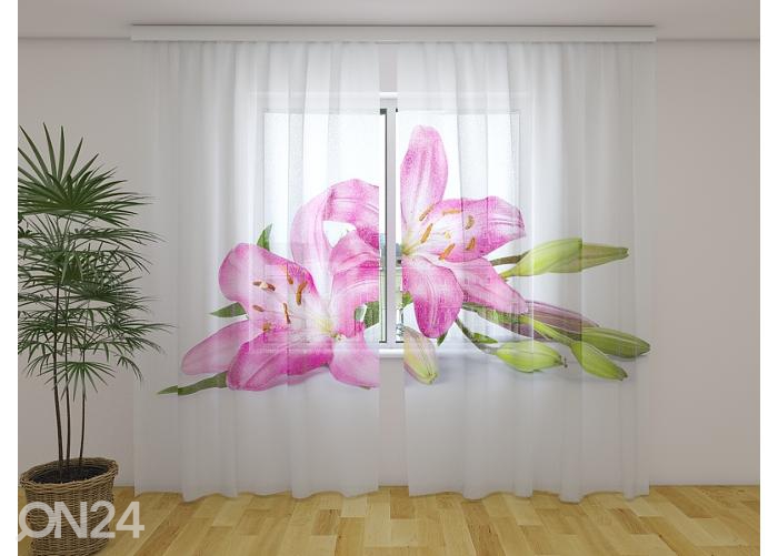 Просвечивающая фотоштора Big Pink Lilies 240x220 см увеличить