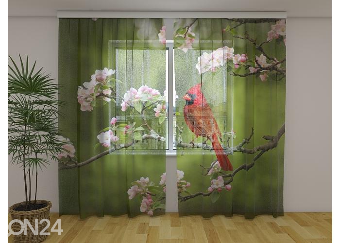 Просвечивающая фотоштора Bird Cardinal on a Spring Twig 240x220 см увеличить