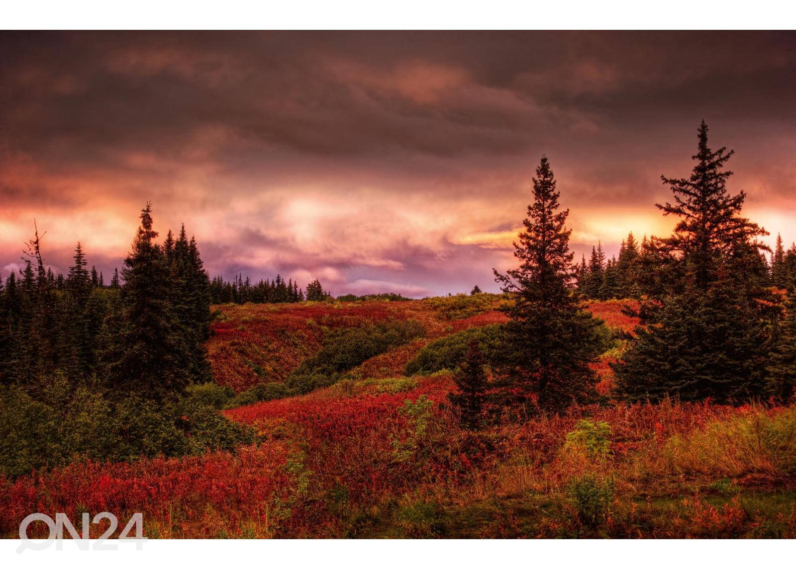 Флизелиновые фотообои Alaska Sunset увеличить
