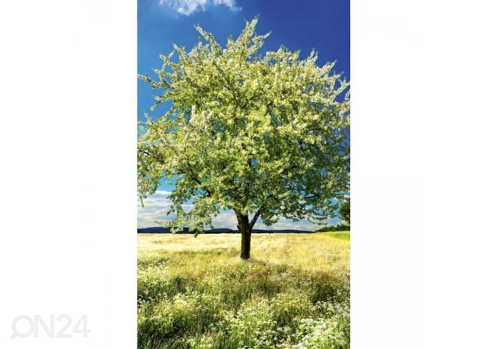 Флизелиновые фотообои Blossom tree 150x250 см увеличить