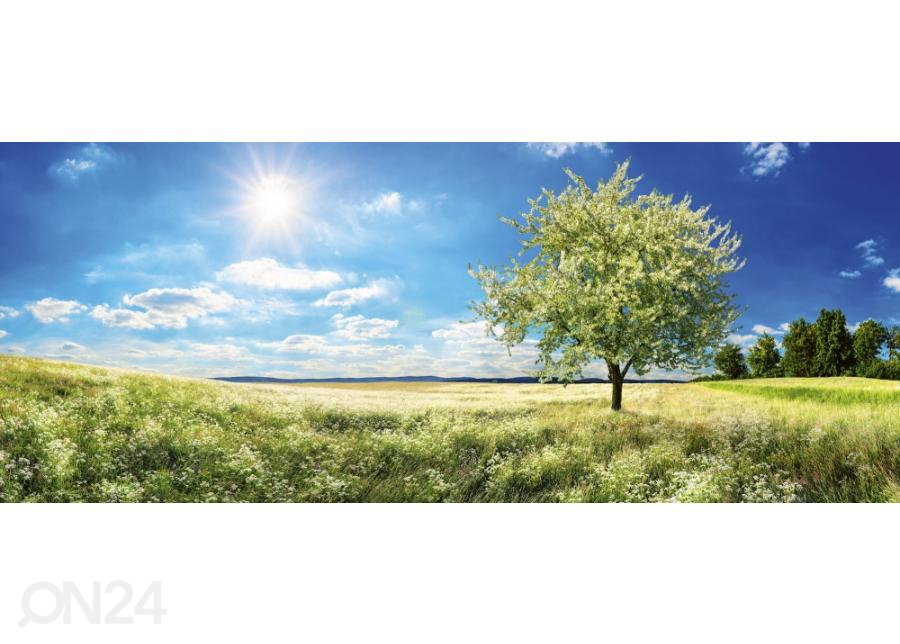 Флизелиновые фотообои Blossom tree 375x150 см увеличить