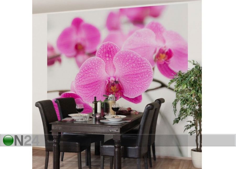 Флизелиновые фотообои Close up orchid увеличить