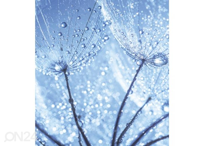 Флизелиновые фотообои Dandelion waterdrops 225x250 см увеличить