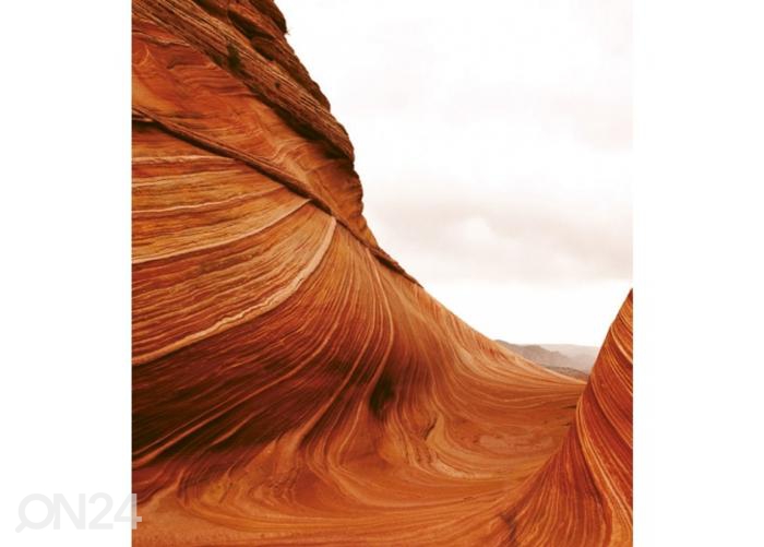 Флизелиновые фотообои Desert 225x250 см увеличить