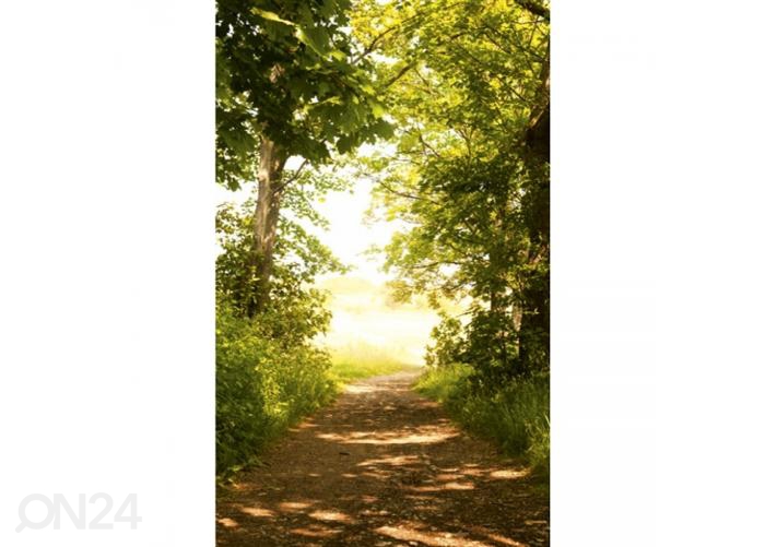 Флизелиновые фотообои Forest path 150x250 см увеличить