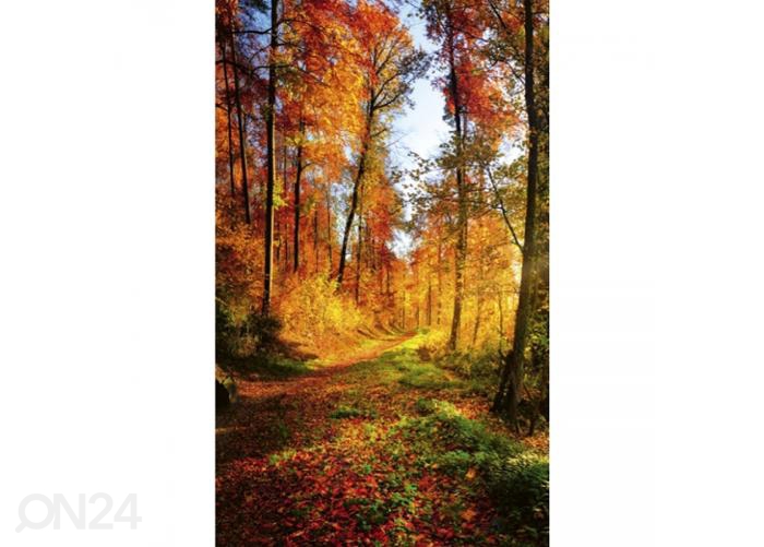 Флизелиновые фотообои Forest walk 150x250 см увеличить