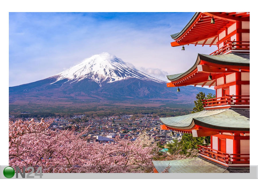Флизелиновые фотообои Japan 360x270 см увеличить