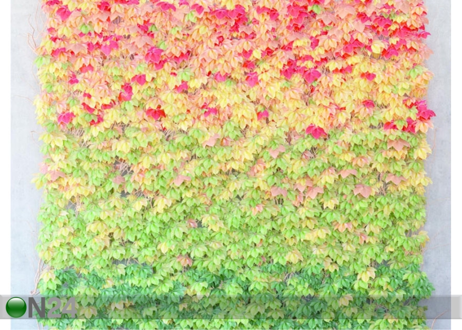 Флизелиновые фотообои Leaves 360x270 cm увеличить