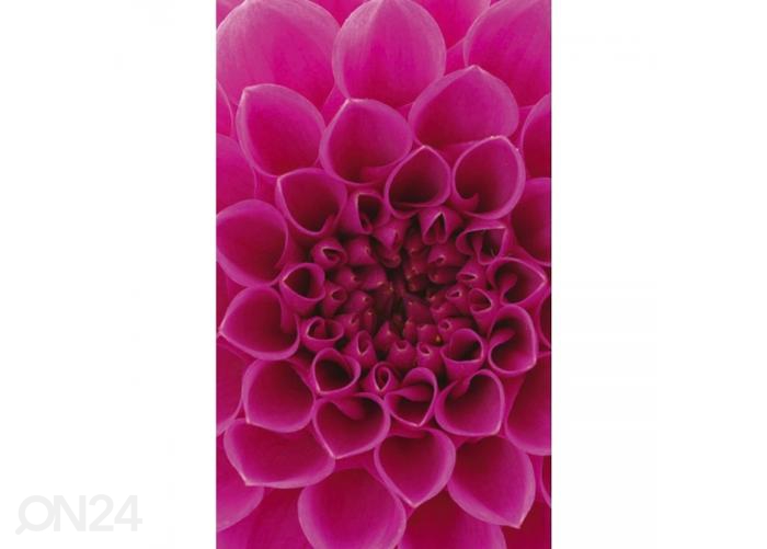 Флизелиновые фотообои Pink dahlia 150x250 см увеличить