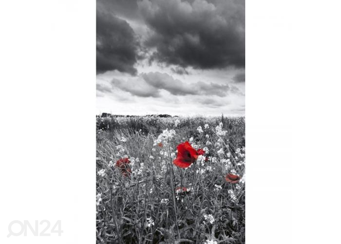 Флизелиновые фотообои Poppies black 150x250 см увеличить