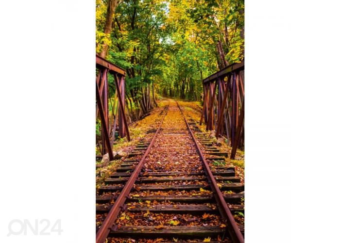 Флизелиновые фотообои Railroad 150x250 см увеличить