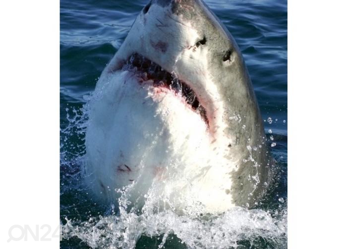 Флизелиновые фотообои Shark 225x250 см увеличить