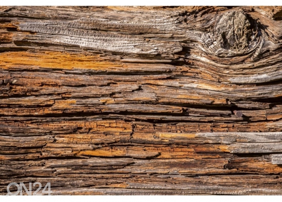 Флизелиновые фотообои Tree bark 150x250 см увеличить