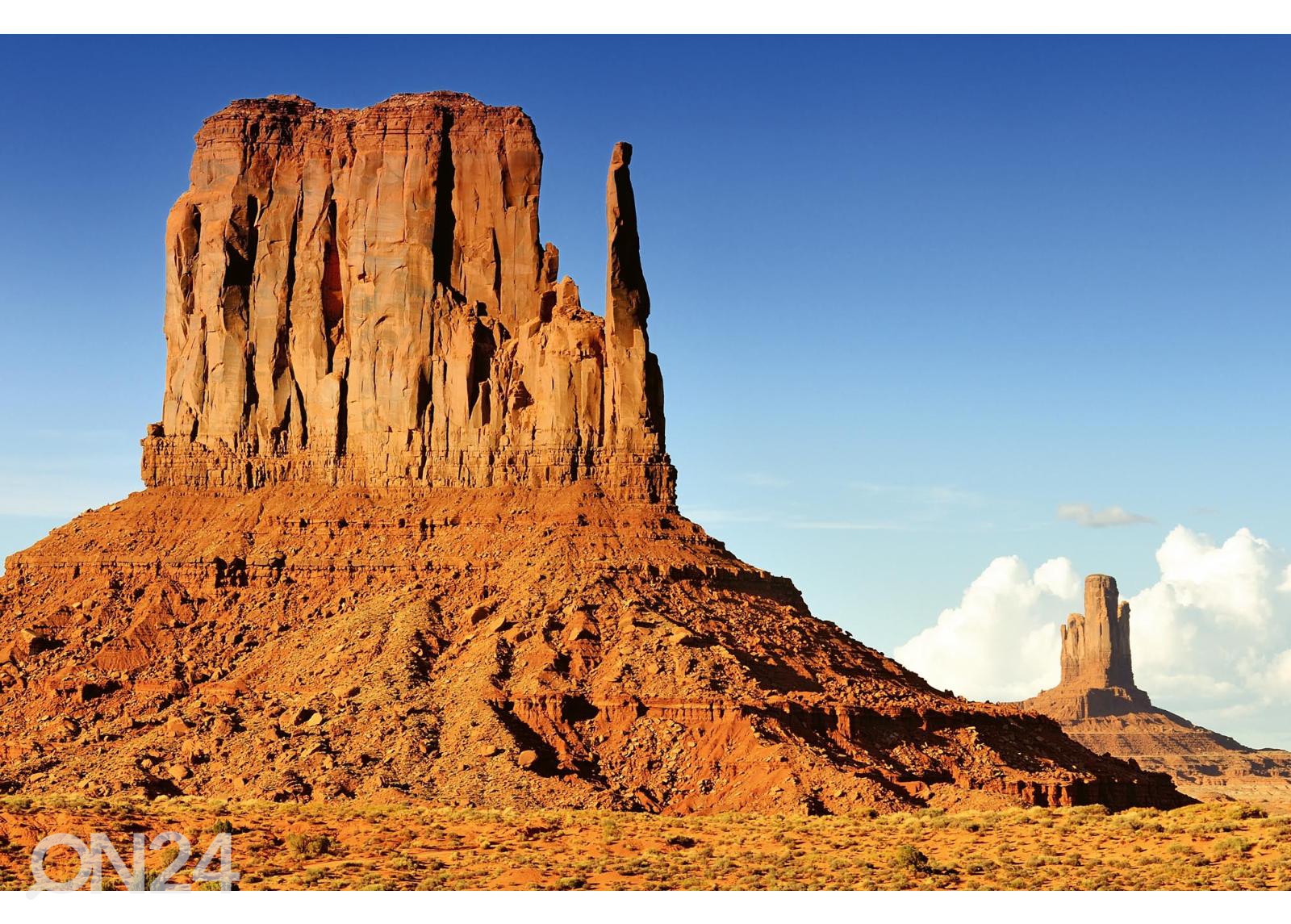 Флизелиновые фотообои Unique Monument Valley увеличить