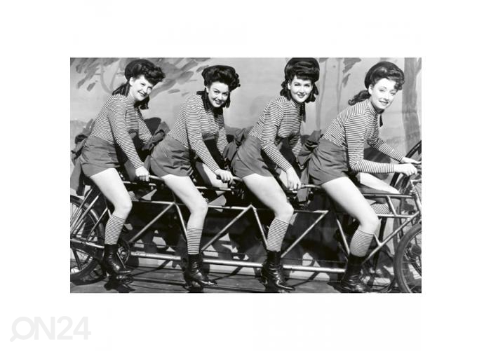 Флизелиновые фотообои Women on bicycle 375x250 см увеличить