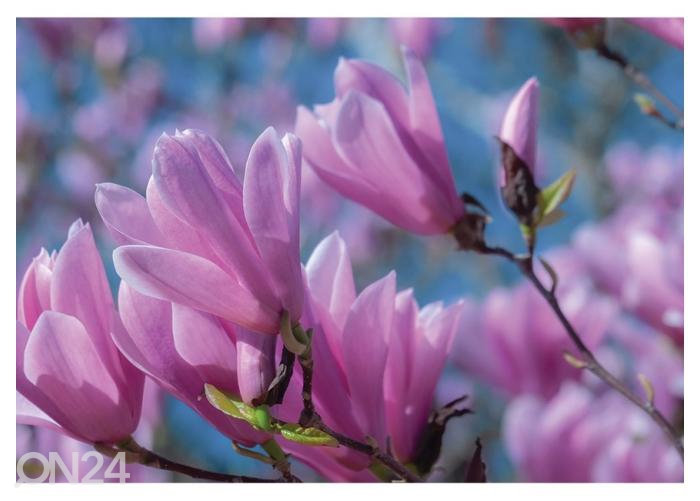 Флисовые фотообои Magnolia Tulip 416x290 см увеличить