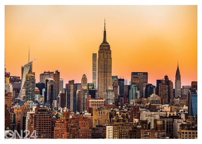 Флисовые фотообои Manhattan, New York City Skyline at Sunset 400x260 см увеличить