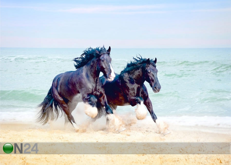 Фотообои Horses 360x254 cm увеличить