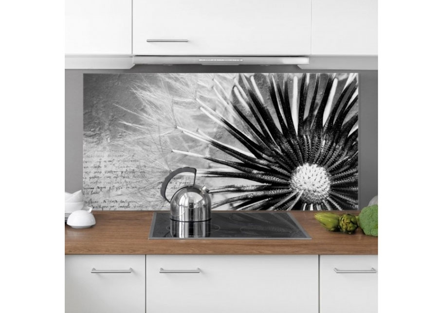 Фотостекло для кухонного фартука Dandelion Black & White 1, 59x120 cn увеличить