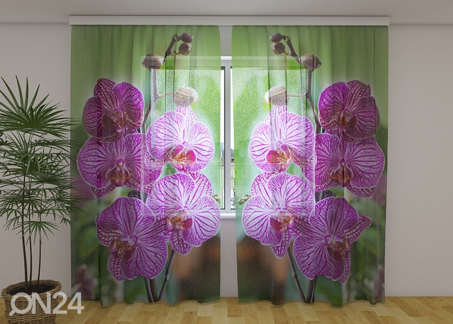 Шифоновая фотоштора Babylon orchid 240x220 cm увеличить