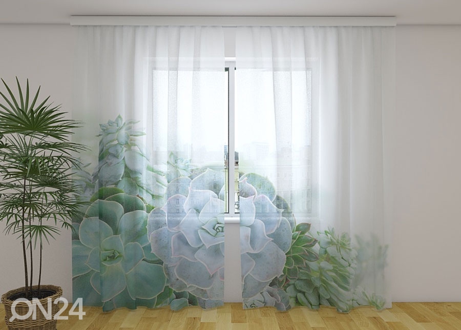Шифоновая фотоштора Green Succulent Plants 240x220 cm увеличить