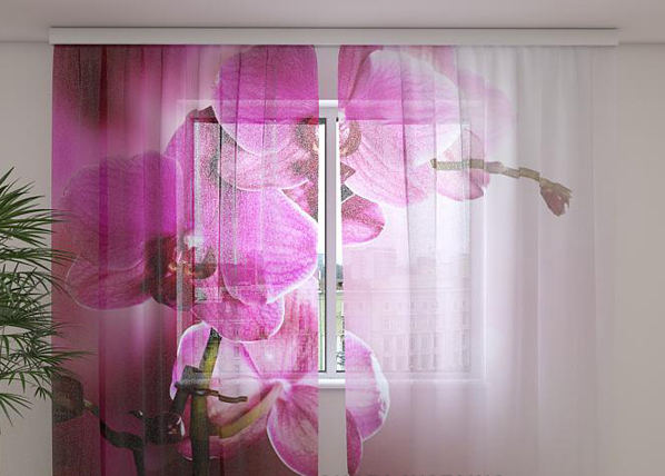 Sifonki-kuvaverho PURPLE ORCHIDS 240x220 cm