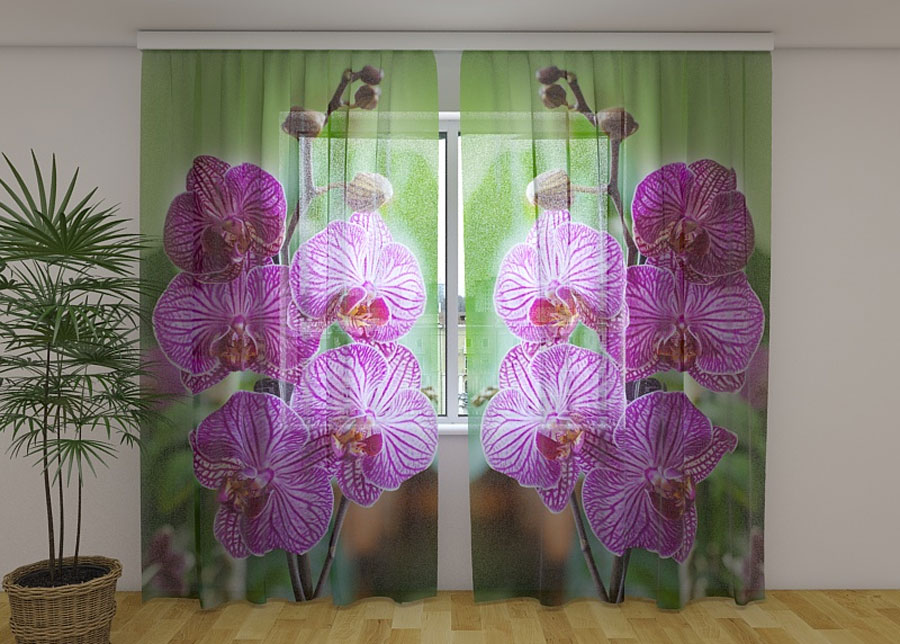 Sifonki-kuvaverho BABYLON ORCHID 240x220 cm