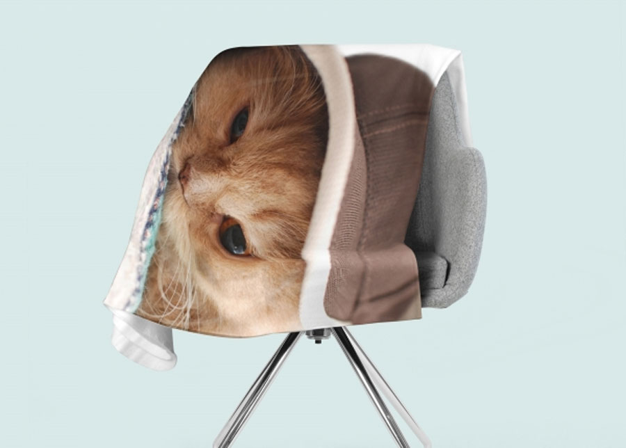 Torkkupeitto Cat in the Hat, 150x200 cm
