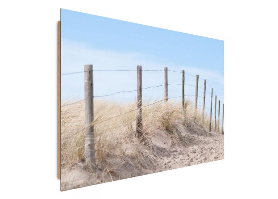 Taulu Seaside dune 30x40 cm