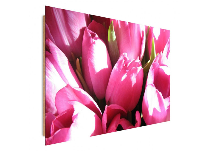 Taulu Pink tulips 30x40 cm