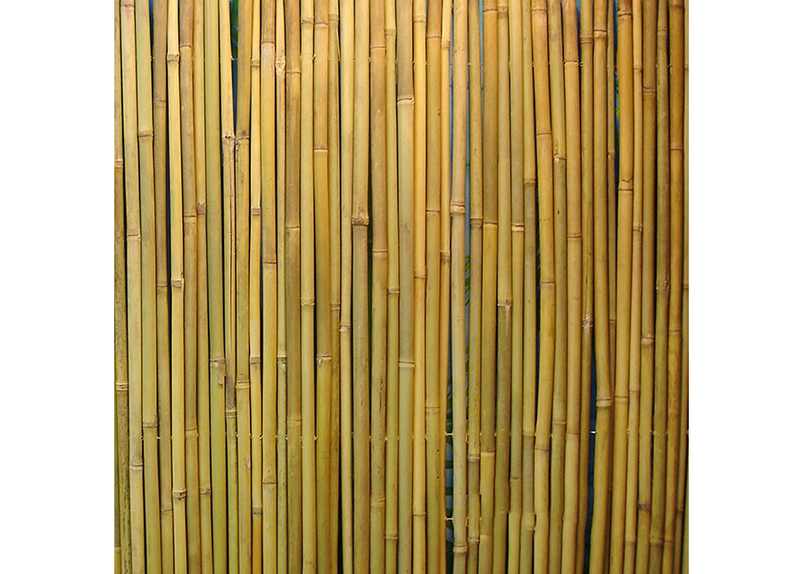 Bambuaita rullassa 2x3 m