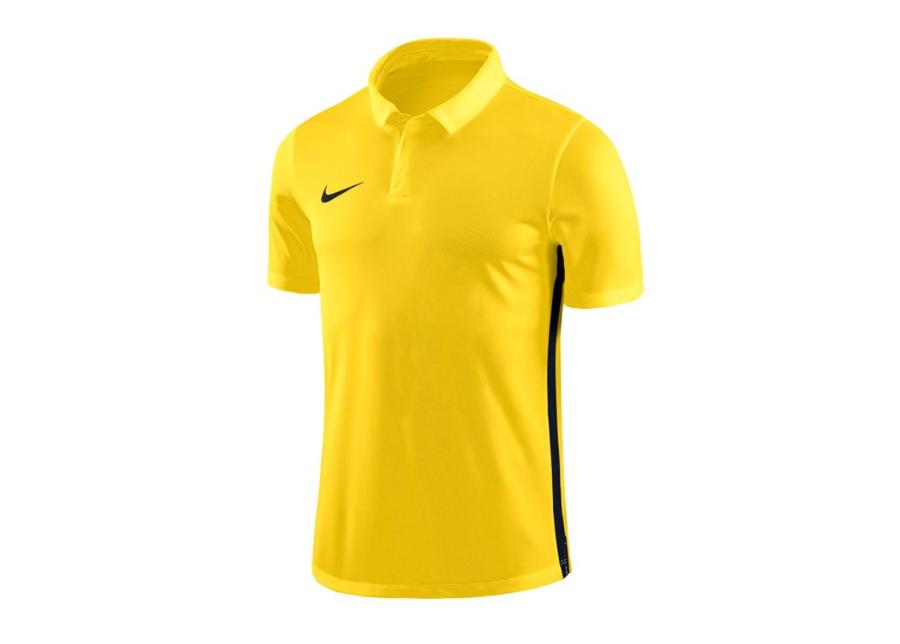 Miesten jalkapallopaita Nike Dry Academy 18 Polo M 899984-719