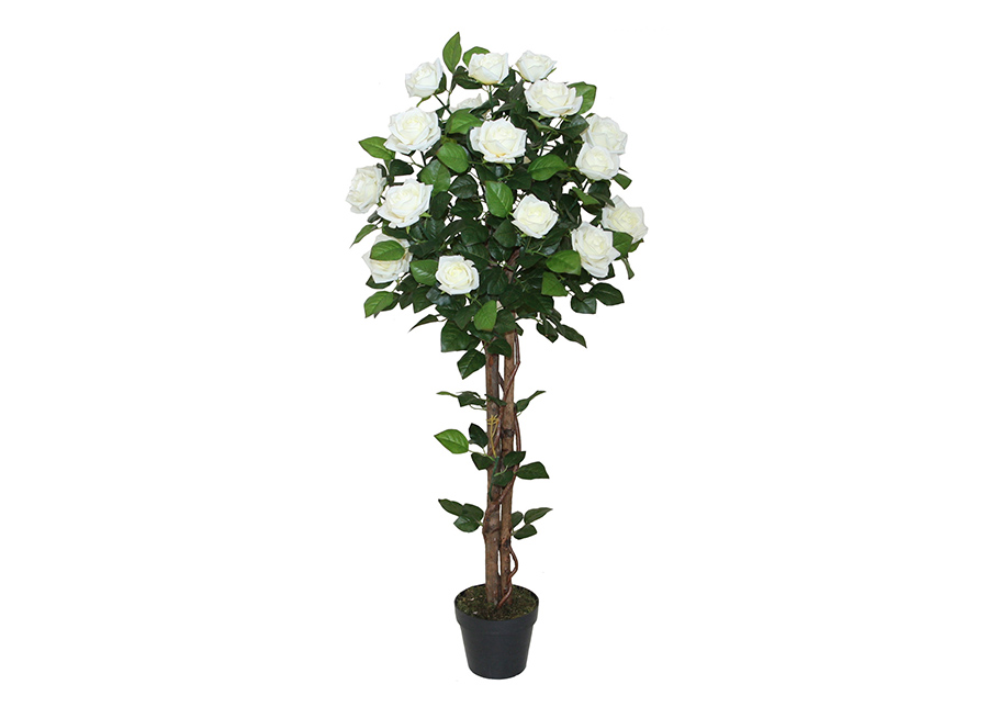 Koristekasvi Ruusu 120 cm