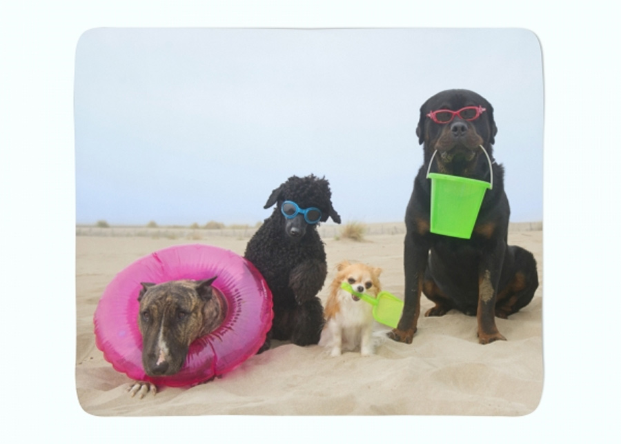 Torkkupeitto Dogs Resting on a Beach 130x150 cm