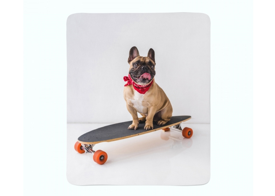 Torkkupeitto French Bulldog on Skateboard 150x200 cm