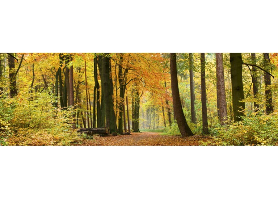 Keittiön välitila Autumn Forest 180x60 cm