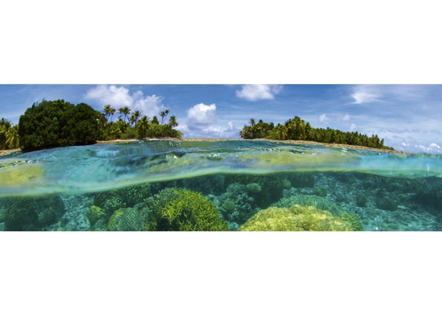Keittiön välitila Coral Reef 260x60 cm