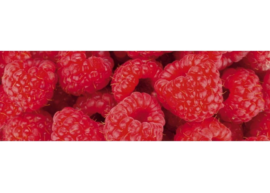 Keittiön välitila Raspberry 180x60 cm