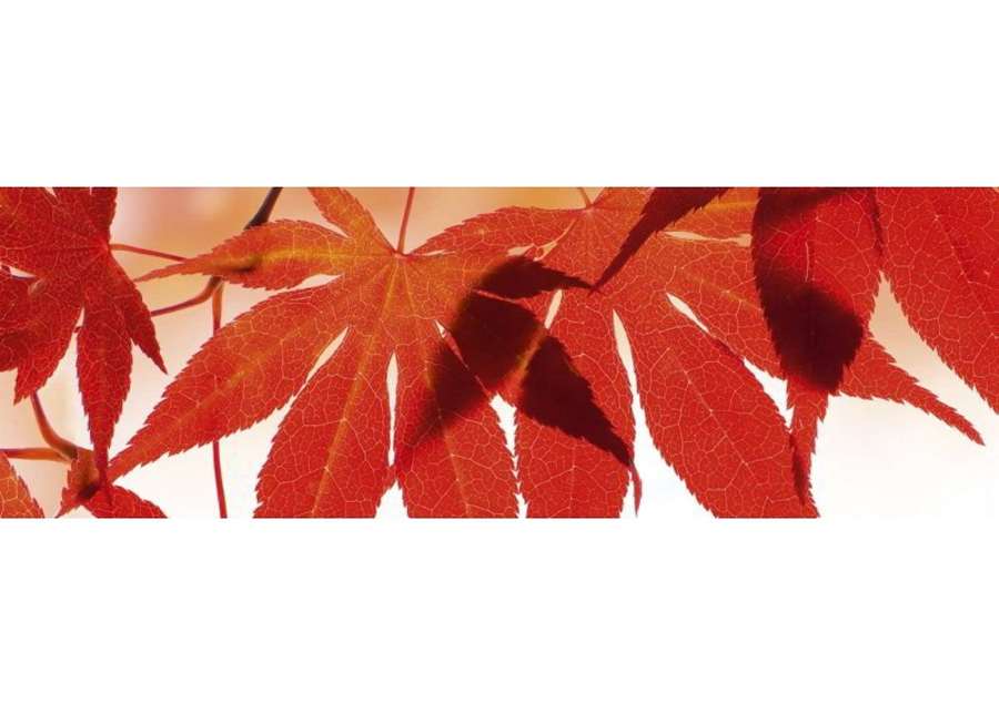 Keittiön välitila Red leaves 180x60 cm