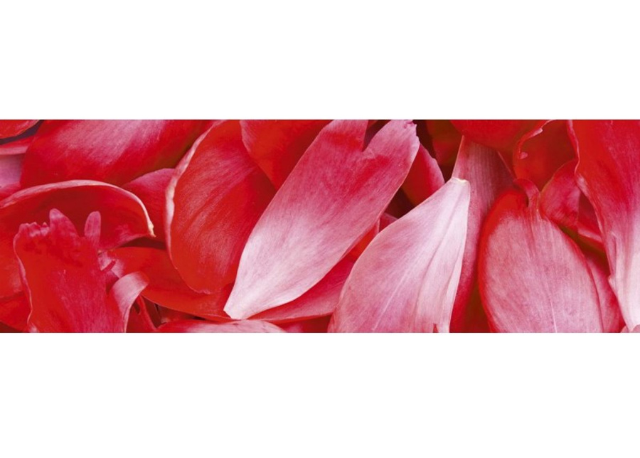 Keittiön välitila Red petals 180x60 cm